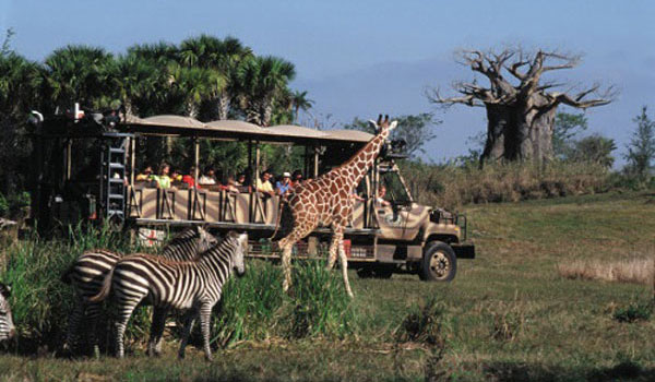 Kilimanjaro Safari Disney