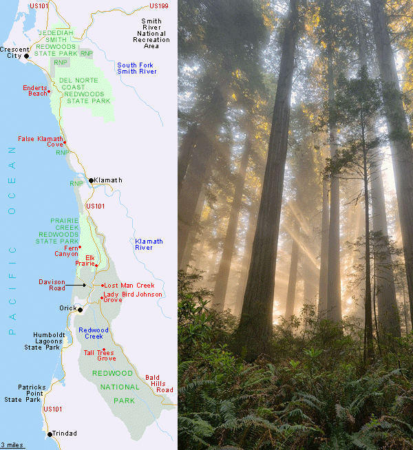 park Redwood mapa