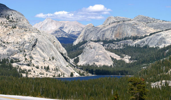 Tioga Road