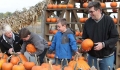 Halloween: farmy dyniowe w Chicago i okolicach