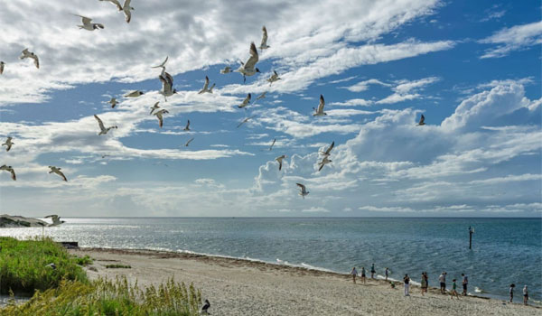 Plaża Ocracoke