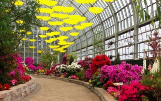 Garfield Park Conservatory