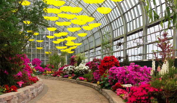 Garfield Park Conservatory