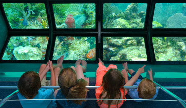 glass bottom boat Floryda