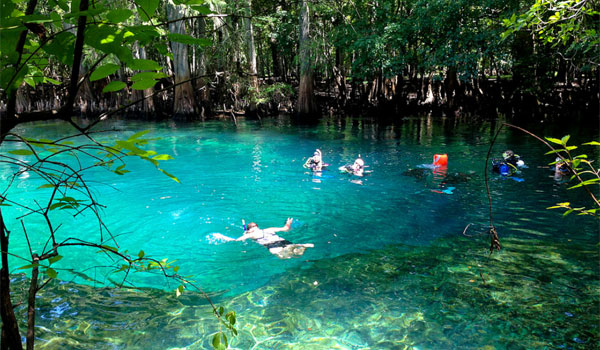 Manatee Springs Floryda