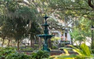 Savannah Plac Lafayette