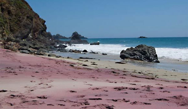 fioletowa plaża Kalifornia