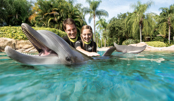 delfiny w Discovery Cove