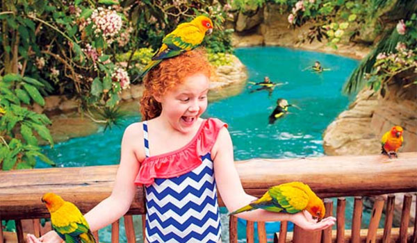 interakcja z ptakami Discovery Cove