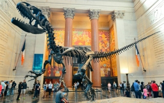 American Museum of Natural History