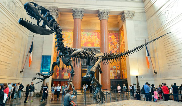 American Museum of Natural History