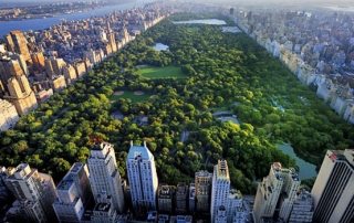 Central Park Nowy Jork