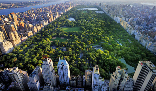 Central Park Nowy Jork