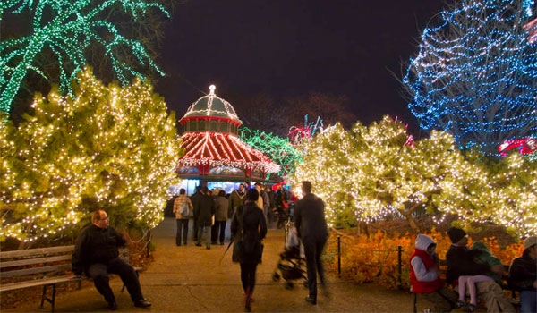 Lincoln Park Zoo festiwal świateł