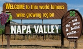 Napa Valley – kraina wina w Kalifornii