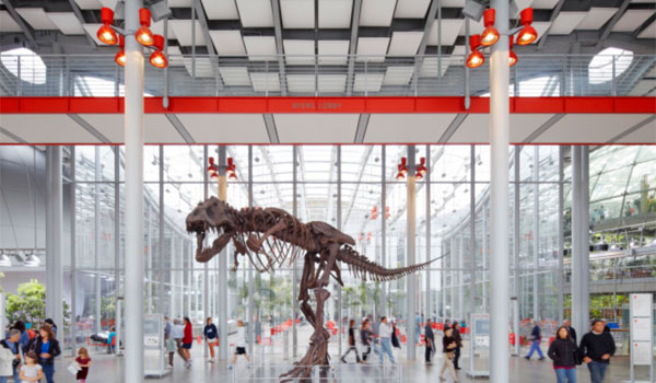 T Rex San Francisco