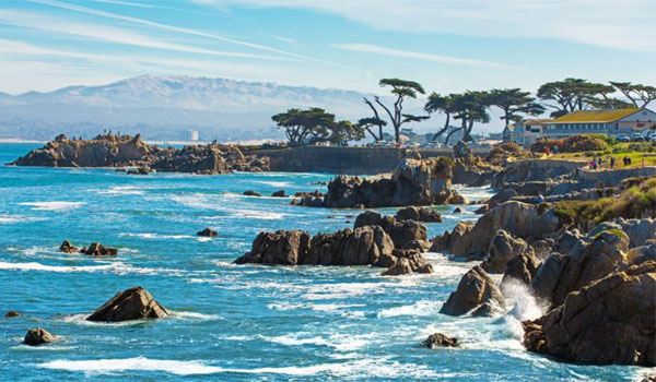 Wycieczki do Monterey Bay