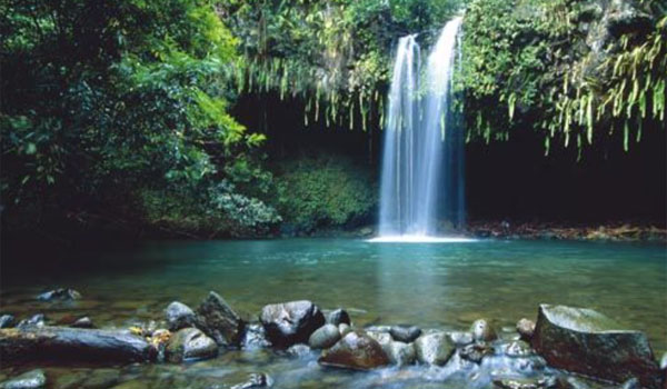 Twin Falls Maui